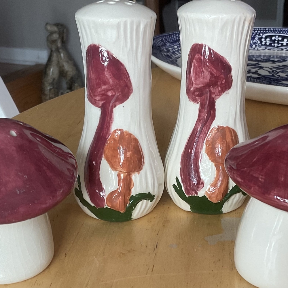 Mushroom Salt and Pepper Shakers